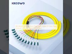SM G652D G657A 0.9mm Fiber Optic Pigtail 12 Color Fiber Cores LC UPC APC Patch Cord Pigtail