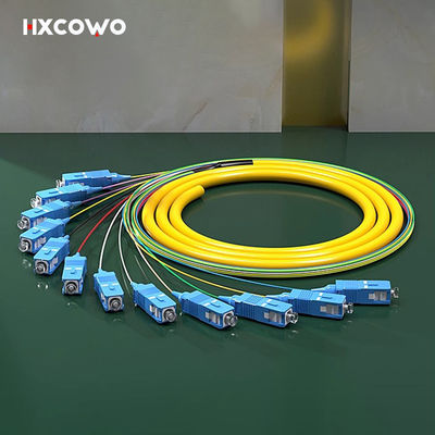 কেনা 12 Core SC UPC APC LC FC ST E2000 SM MM OM2 OM3 OM4 Fiber Optic Pigtail Ribbon Patch Cord অনলাইন উত্পাদন