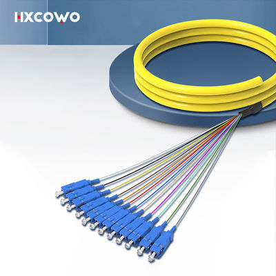 কেনা HXCOWO SC Fanout SM 12 Core Fiber Optic Bundle Pigtail PVC LSZH Wavelength 850nm/1310nm/1550nm অনলাইন উত্পাদন