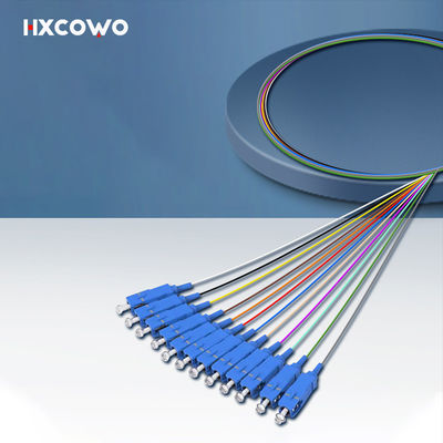 কেনা HXCOWO 12 কোর বান্ডেল এসসি পিগটাইল G657A1 A2 1 মিটার কাস্টমাইজড দৈর্ঘ্য ফাইবার অপটিক পিগটাইল অনলাইনে উৎপাদন