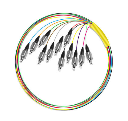 কেনা speed HXCOWO 12 Core G652D LSZH FC Fanout Bunchy Breakout Fiber Optic Pigtail for 4g Network অনলাইন উত্পাদন