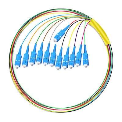 কেনা HXCOWO 12 Core SC Bundle Tail Single Mode Telecom Grade Head And Tail Fiber Optic Pigtail অনলাইন উত্পাদন